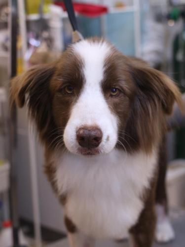 20230706ソイくん